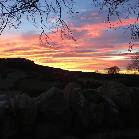 Slievemoyle Cottages Raholp Exteriér fotografie