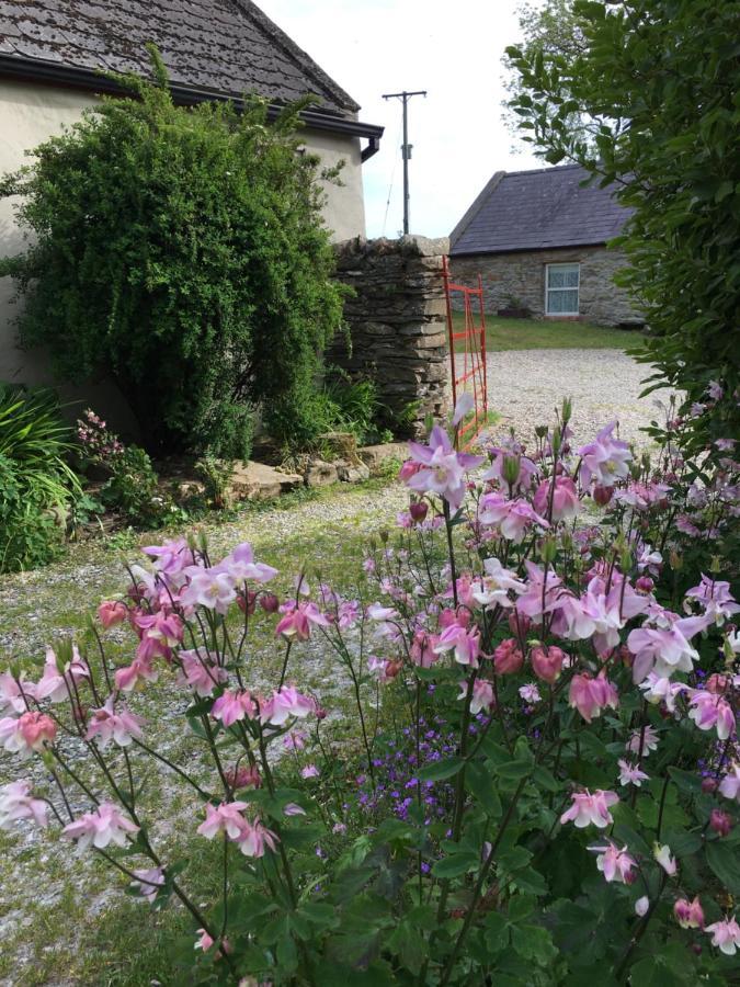 Slievemoyle Cottages Raholp Exteriér fotografie