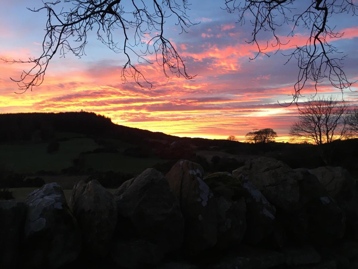 Slievemoyle Cottages Raholp Exteriér fotografie