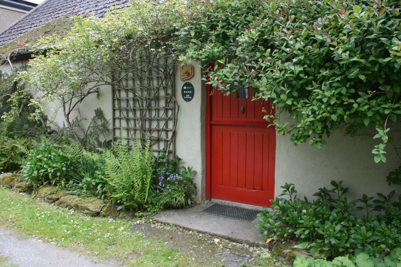 Slievemoyle Cottages Raholp Exteriér fotografie