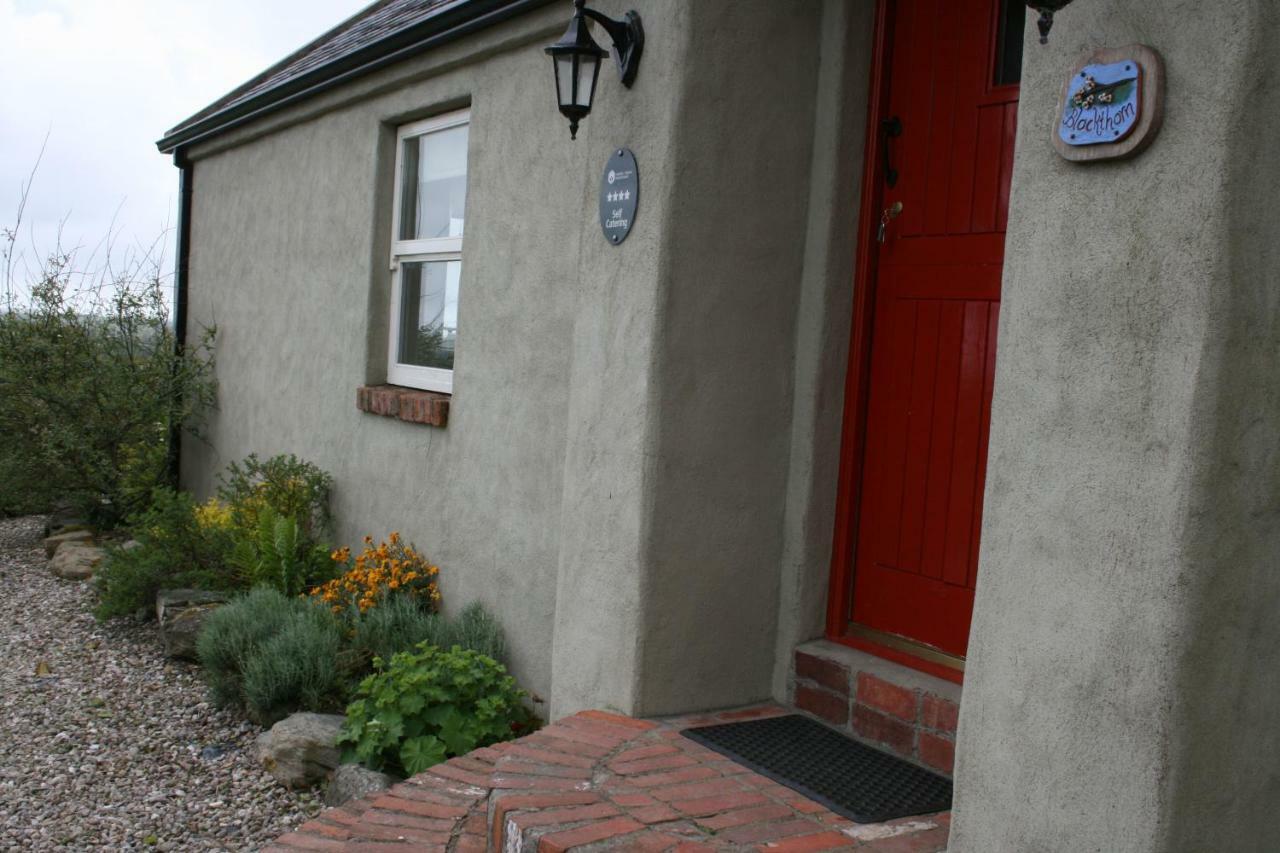 Slievemoyle Cottages Raholp Exteriér fotografie